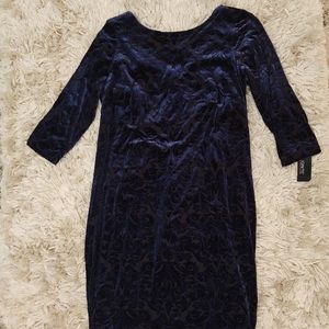 Ignite Textured Velvet 3/4 Sleeve Sheath Dress